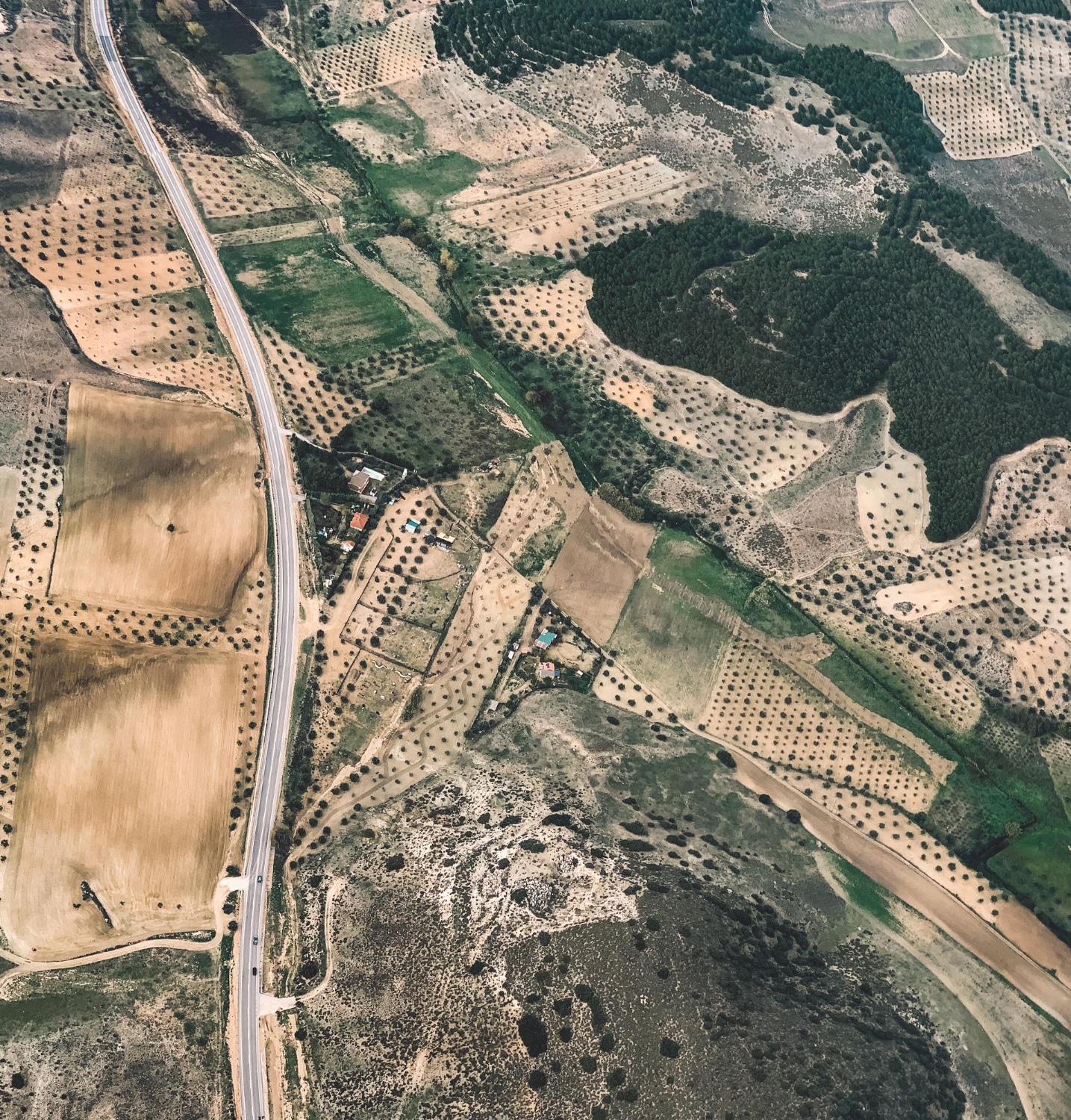 קידום תחבורה ציבורית ומסילות